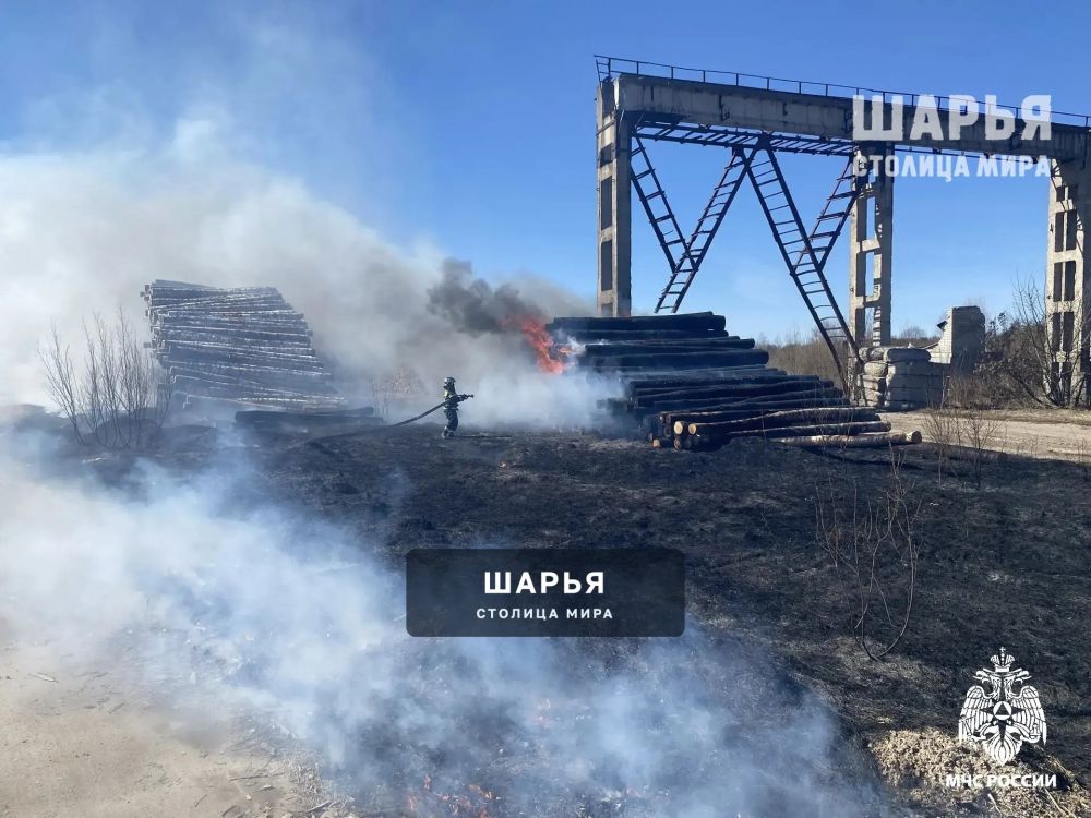 В Шарьинском районе из-за пала травы чуть не случилась трагедия — Шарья — фото 5
