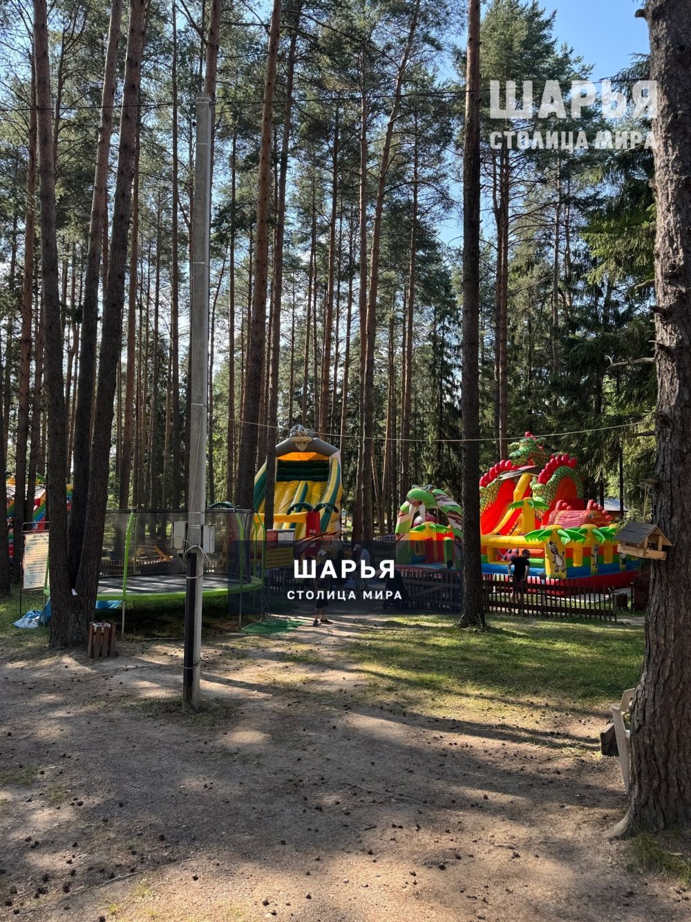 Городской парк, день города 2 августа — Шарья — фото 4