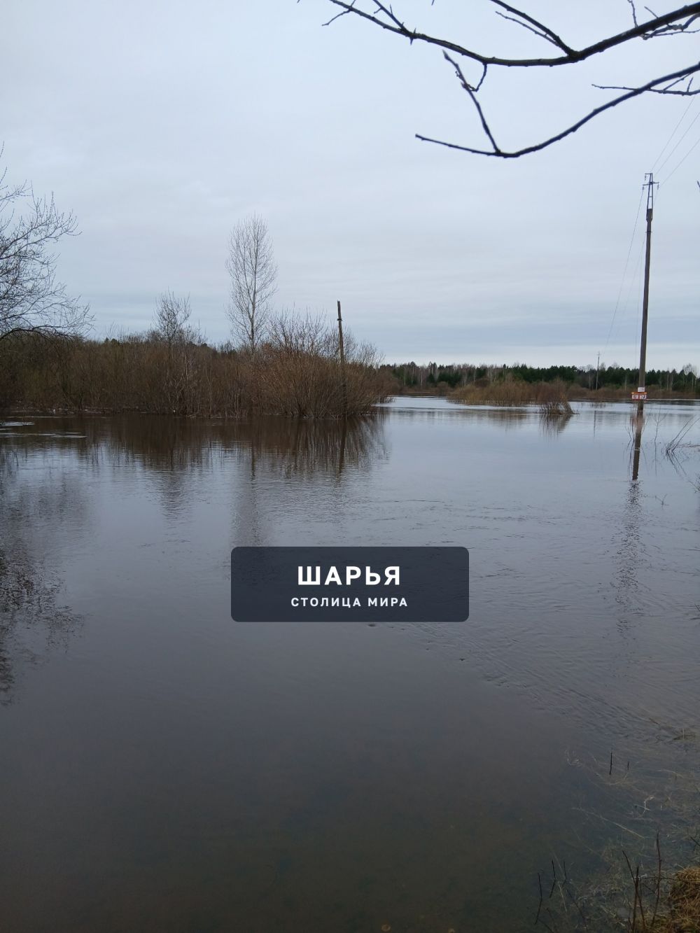 Где-то там, за кустами будет капитальный ремонт пляжа — Шарья