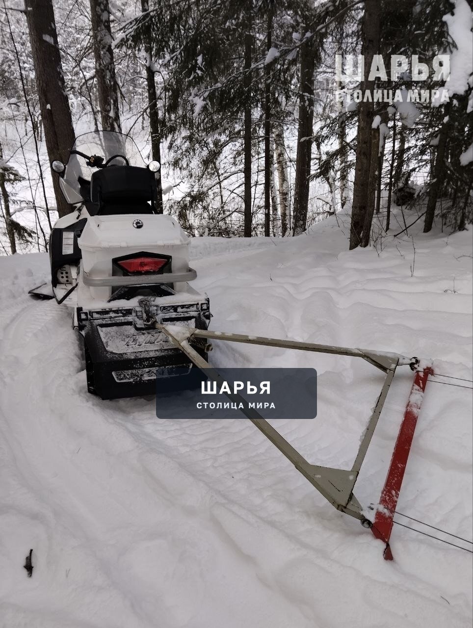 Спортивная школа олимпийского резерва Шарьи выражает благодарность Яковенко Владиславу, Попову… — Шарья — фото 3