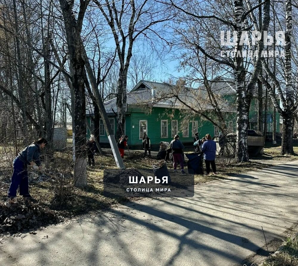 В Шарье началась пора субботников — Шарья — фото 4