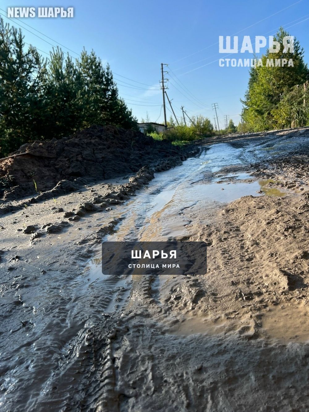 По колено в грязи стало нормой для Шарьи — Шарья — фото 3