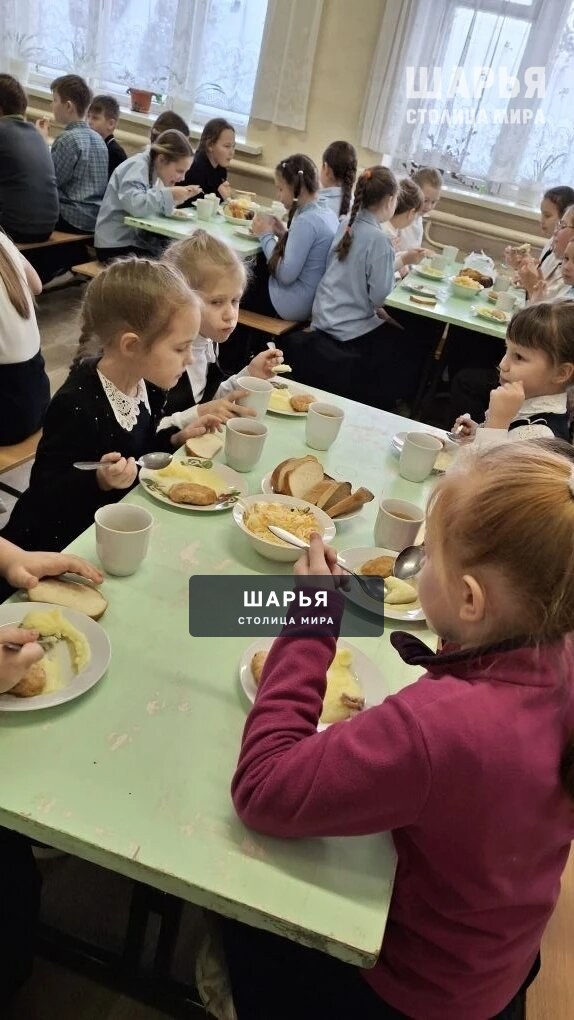Родители Шарьи контролируют пищу детей в школах — Шарья — фото 4