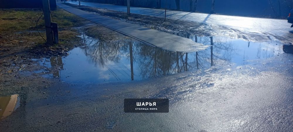 Уважаемая администрация города прошу решить данную ситуацию — Шарья