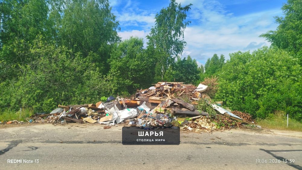 Не могу не поднять тему с мусором в районе села Рождественского, который попался мне на глаза… — Шарья — фото 3
