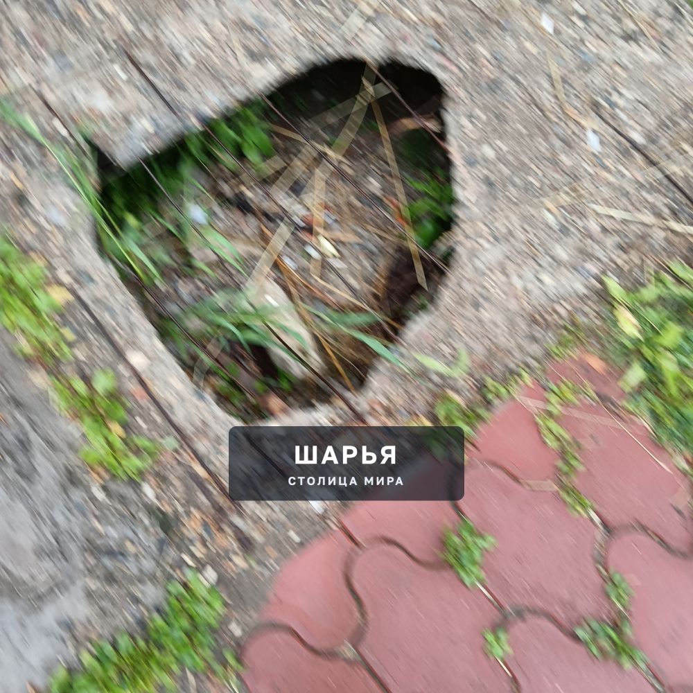 Самая гадкая и позорная остановка в городе. ул Ив Шатрова — Шарья — фото 8