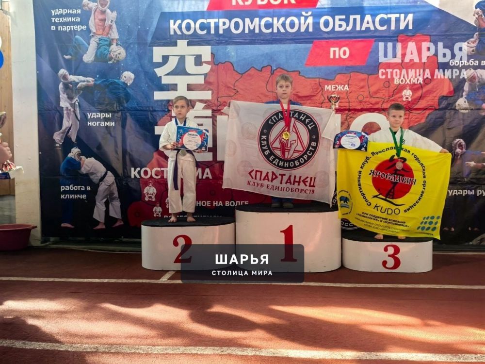 В Шарье состоялся традиционный Кубок Костромской области по КУДО — Шарья — фото 1