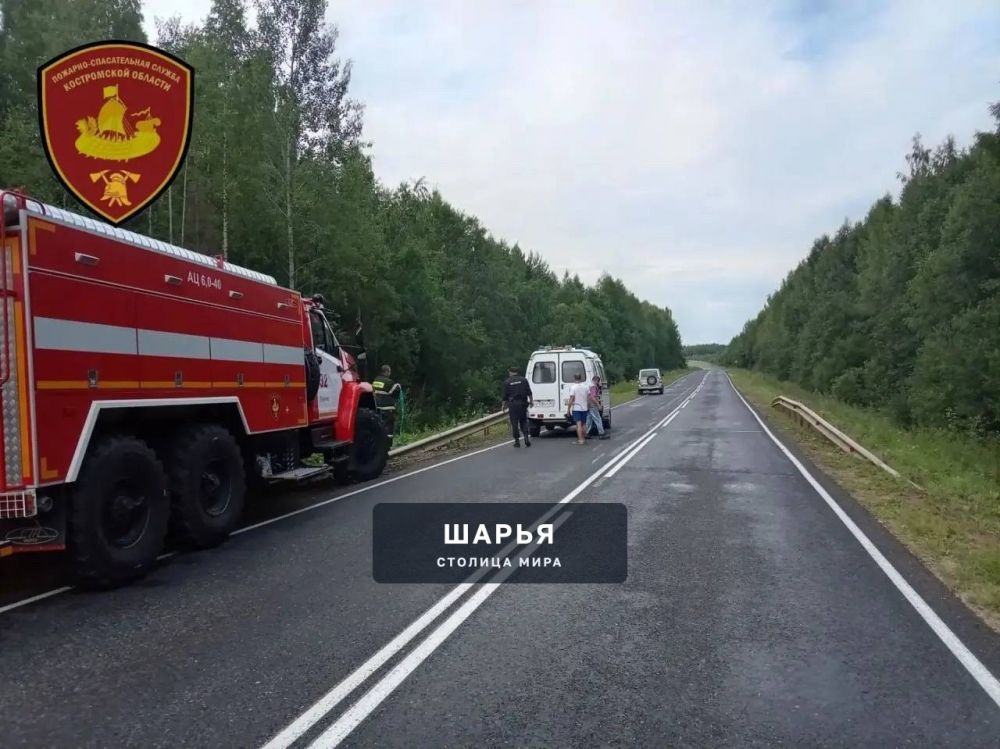ДТП в Павинском округе: один человек погиб — Шарья — фото 5