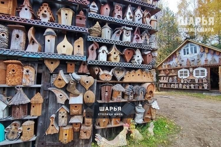 Необычное увлечение жителя нашего региона прославило его на всю область — Шарья — фото 4