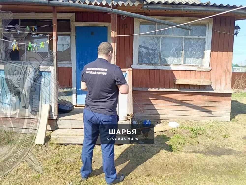 В Шарье задержана женщина, подозреваемая в убийстве сожителя — Шарья