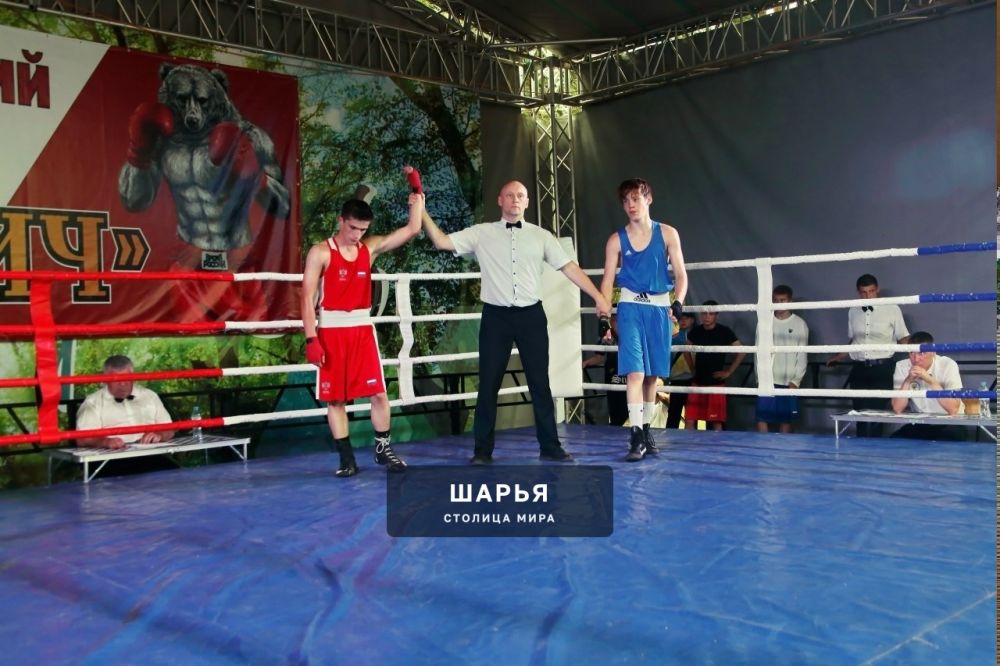 Шарья до сих пор под впечатлением от нынешнего боксерского турнира — фото 4