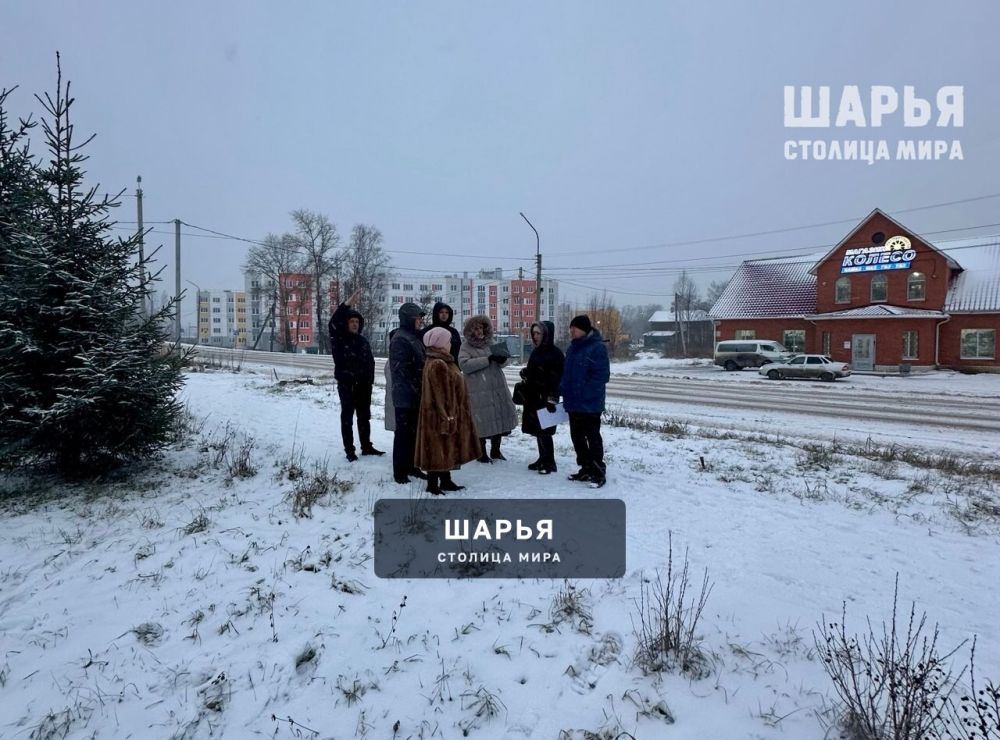 Реализация общественных инициатив в Шарье уже стартовала — Шарья — фото 2