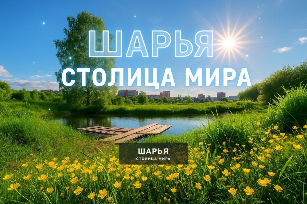 Эффективная реклама там, где её действительно увидят — Шарья
