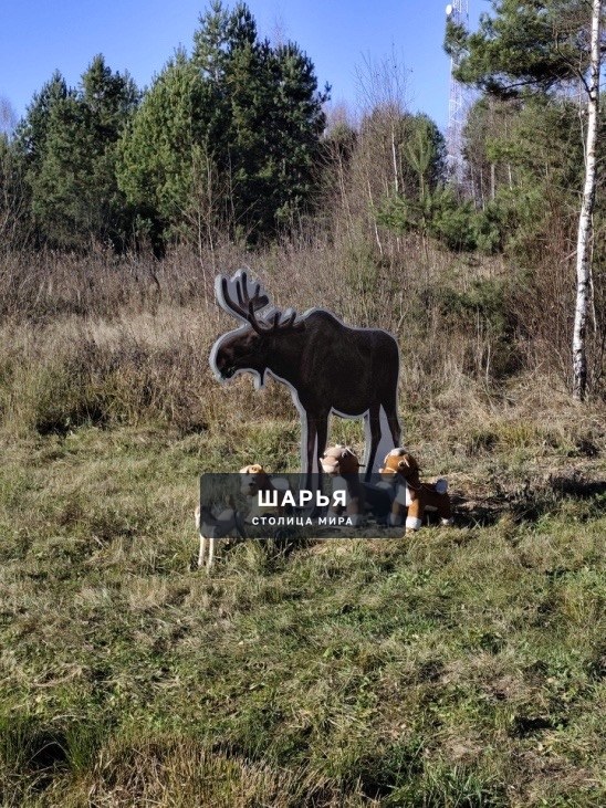 Макарьевская трасса радует! 😄 — Шарья — фото 2