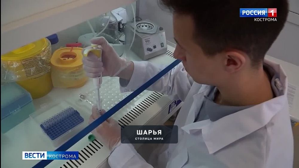 Среди абитуриентов наибольшей популярностью пользуются IT и педагогика — Шарья