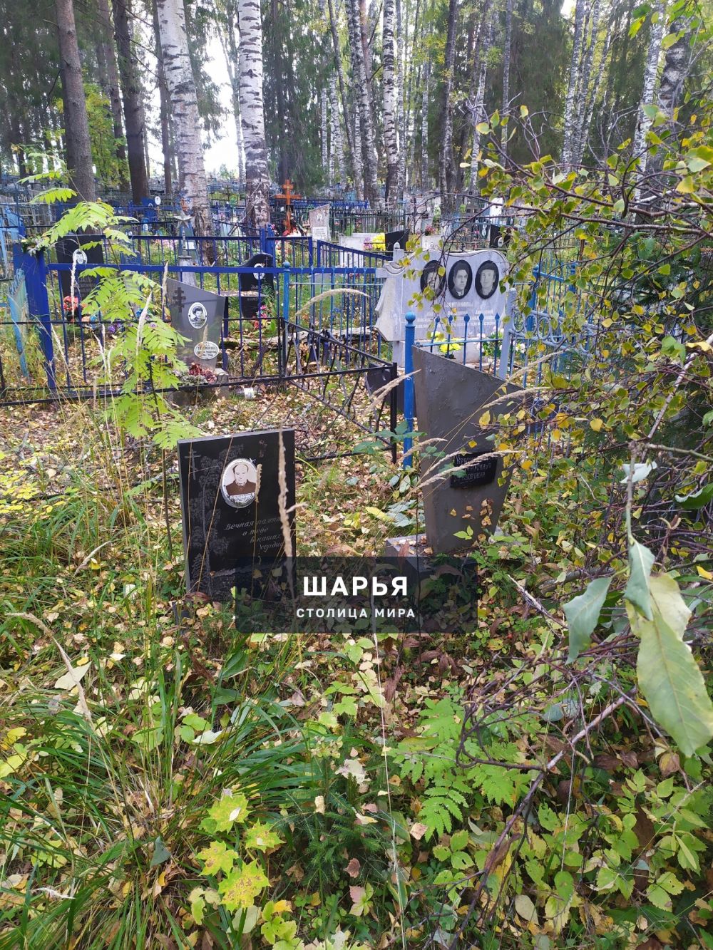 Добрый день жители города Шарья