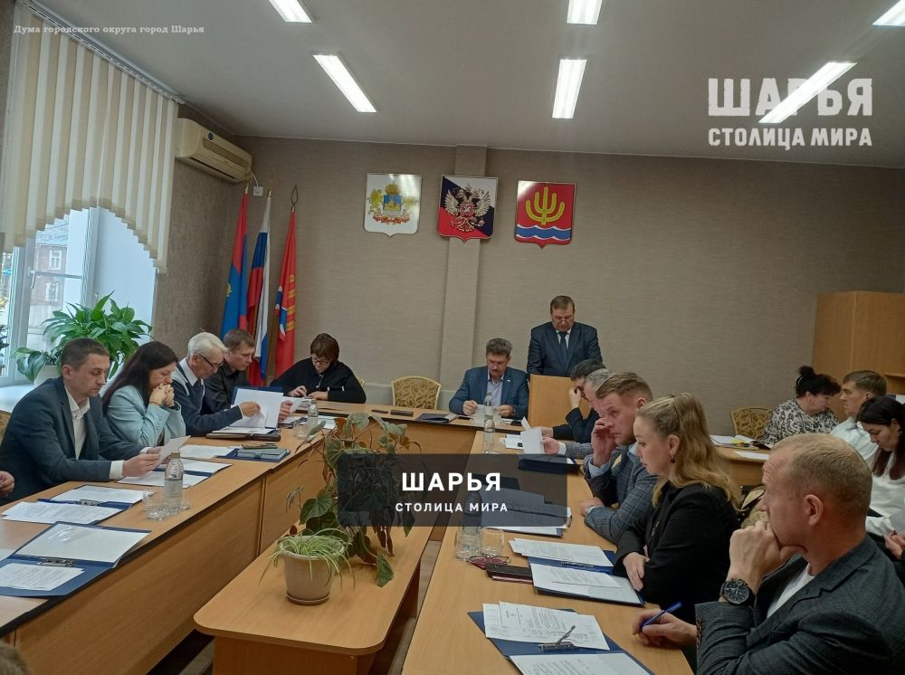 Народные избранники городской Думы продолжают формировать комиссии — Шарья — фото 3