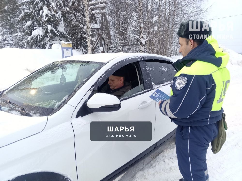 Автоинспекторы подвели итоги дополнительных рейдов — Шарья — фото 2