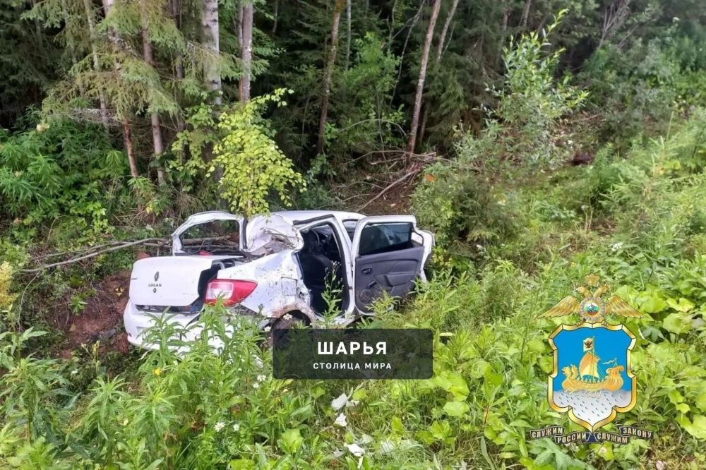 Сегодня произошло смертельное ДТП на трассе «Пыщуг — Павино — Вохма — Боговарово» — Шарья — фото 1