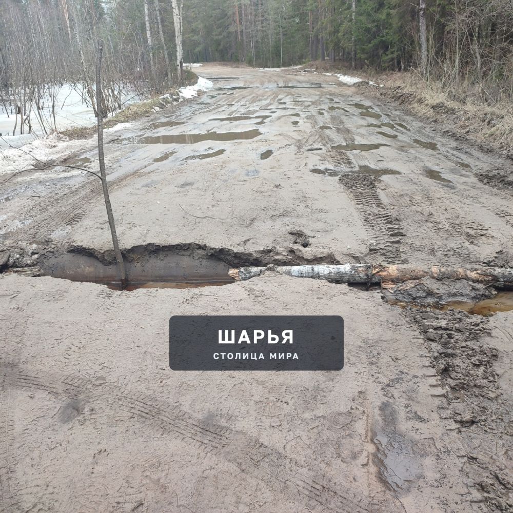 Дорога на Красный Яр. Уважаемая администрация, депутаты примите меры! — Шарья — фото 2