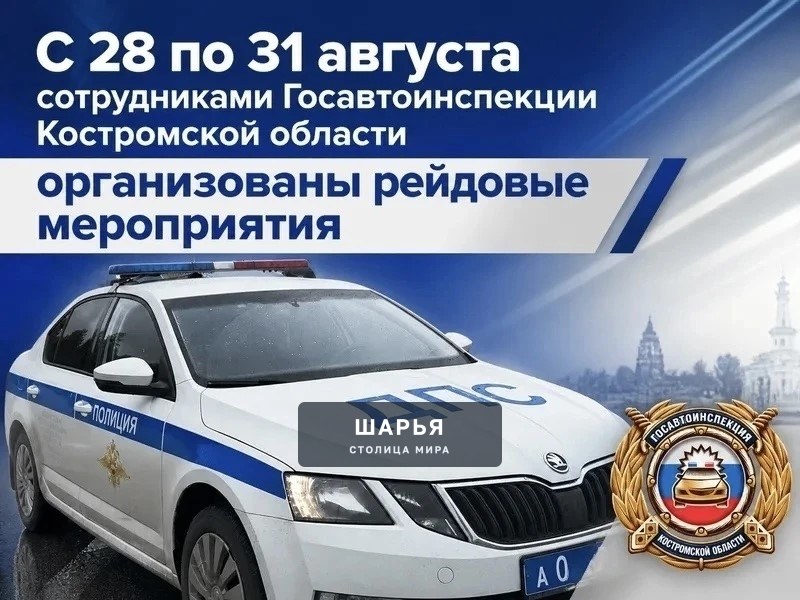 Дорожные полицейские проводят рейды — Шарья