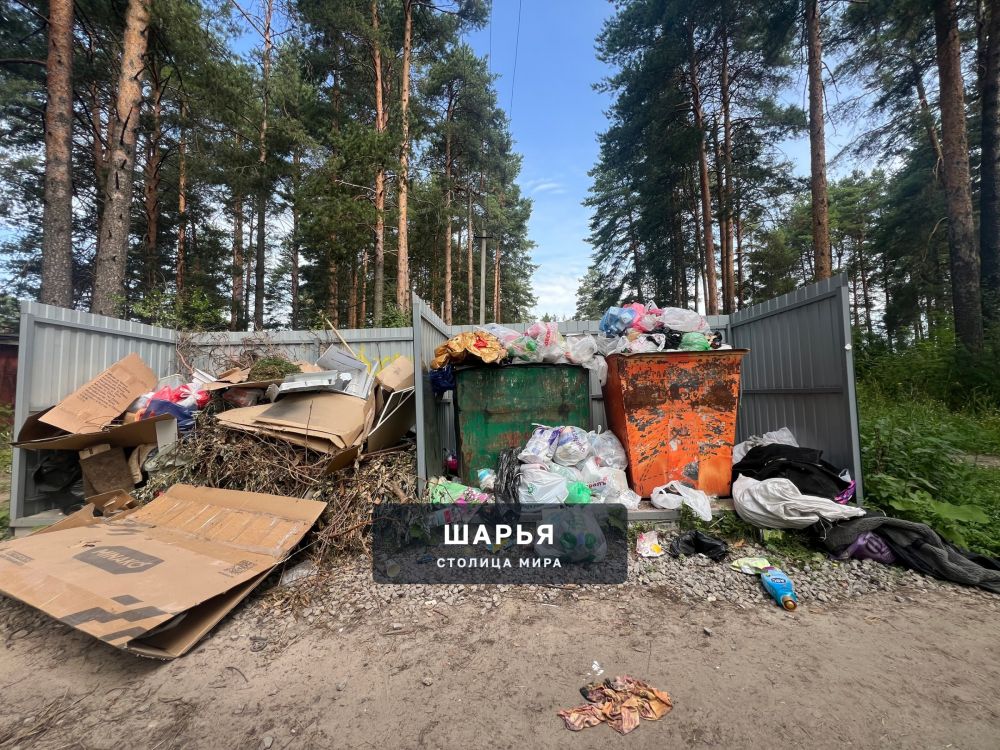 Обращаемся к ООО «СпецТранс» и директорам компании в лице Муравьева Владимира Валентиновича и… — Шарья