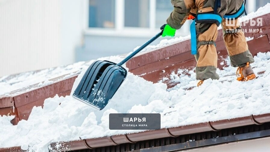 Спортивная школа олимпийского резерва Шарьи выражает благодарность Яковенко Владиславу, Попову… — Шарья — фото 8