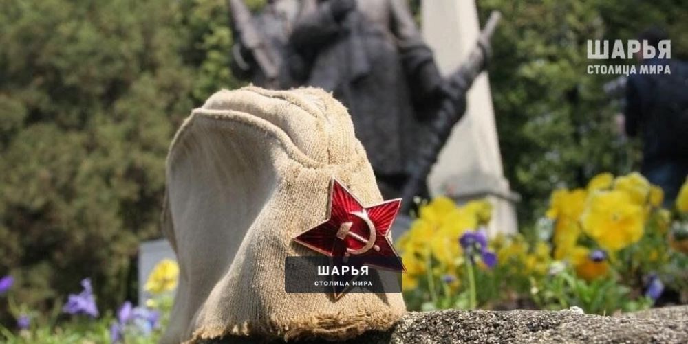 Школьников будут возить на экскурсии к местам боевых действий во время Великой Отечественной… — Шарья