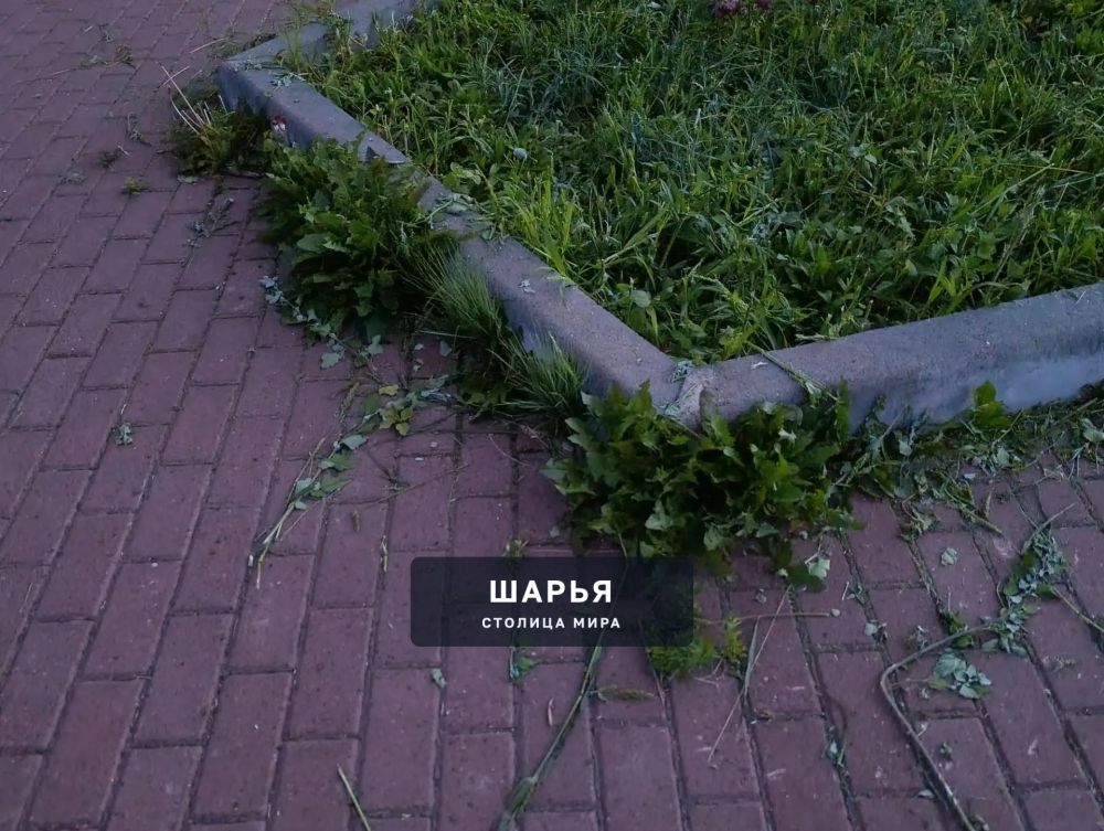 У людей и властей мнения расходятся — Шарья — фото 8
