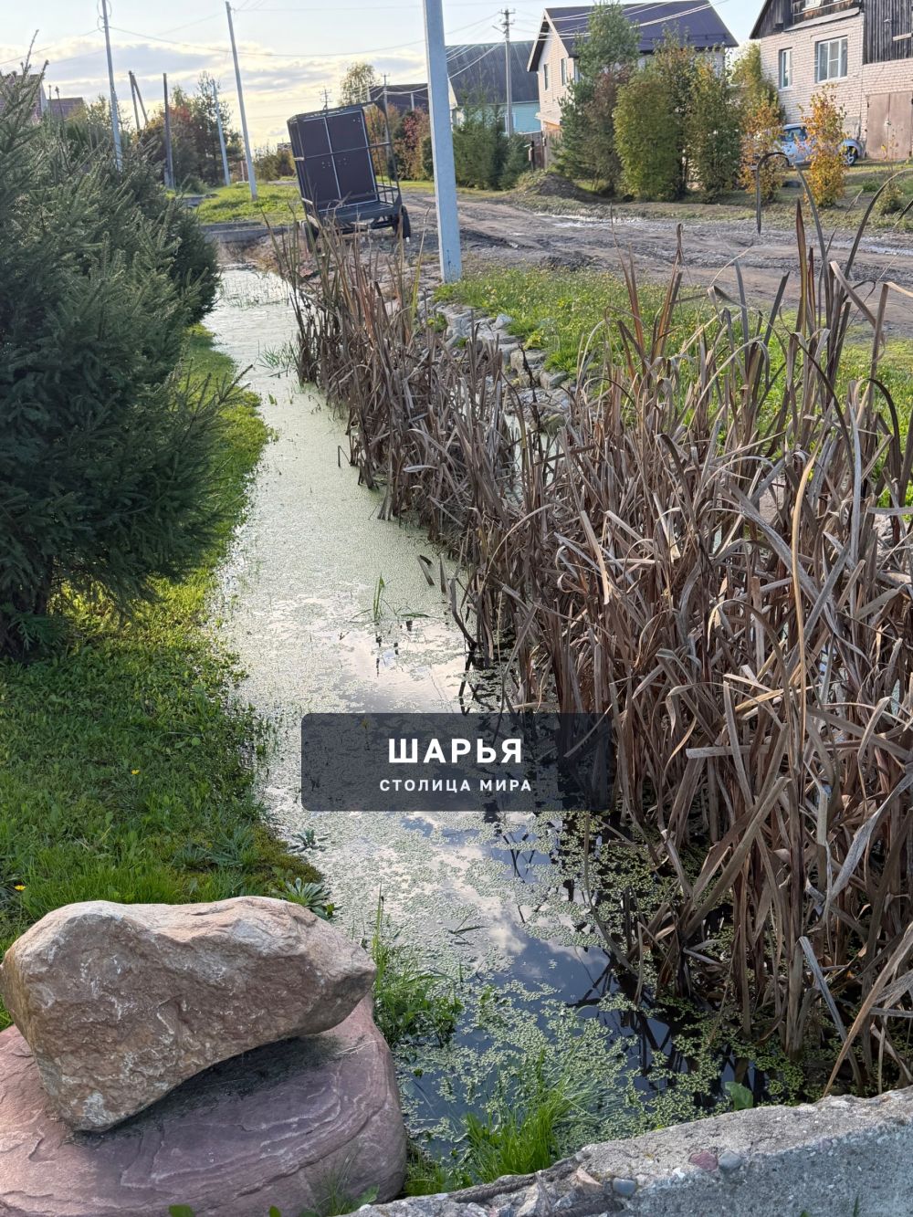 На улице Богородского образовалась канава, которая постоянно заполнена большим количеством… — Шарья — фото 2
