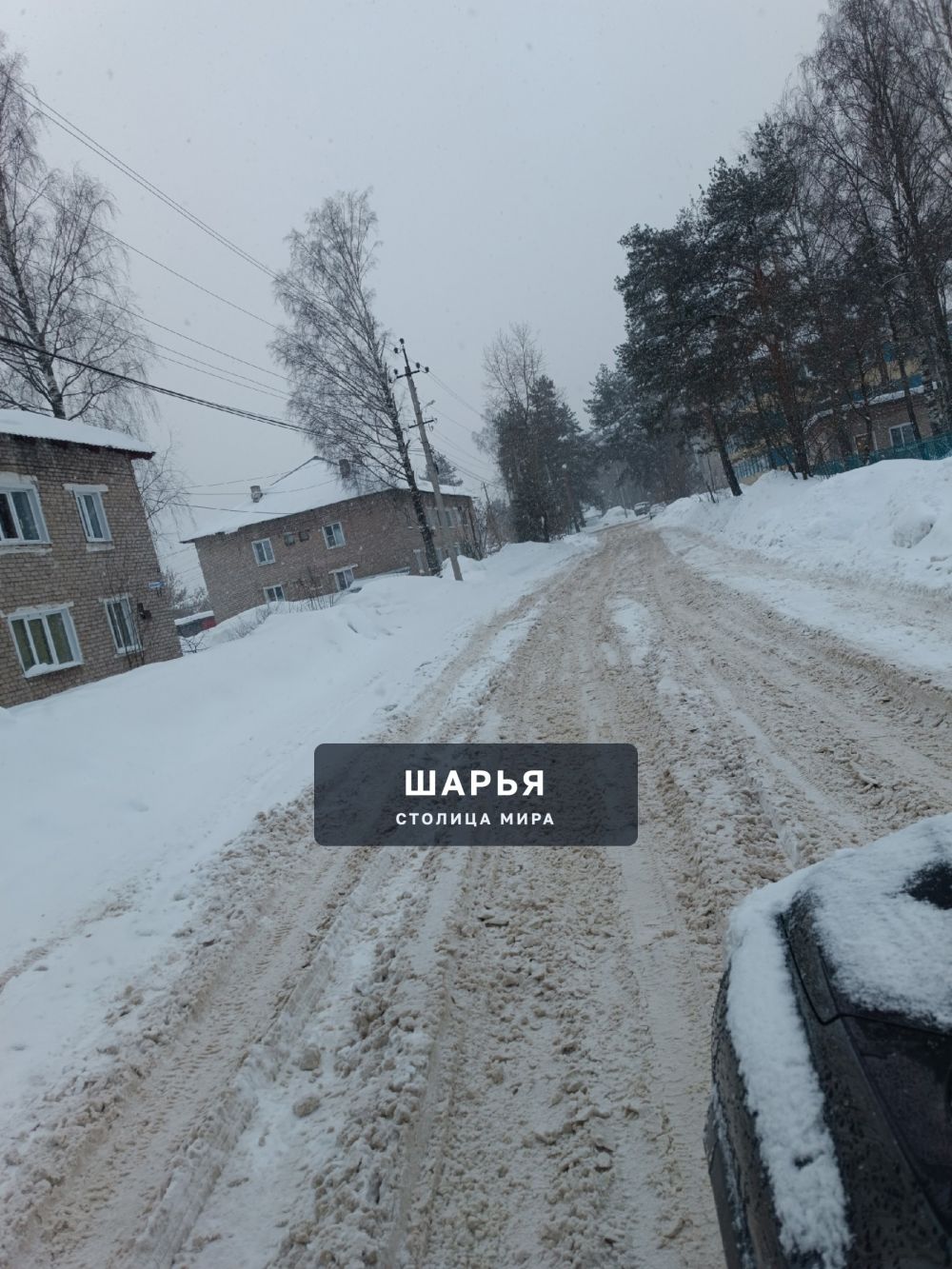 Уберите уже улицу Энтузиастов! — Шарья — фото 3