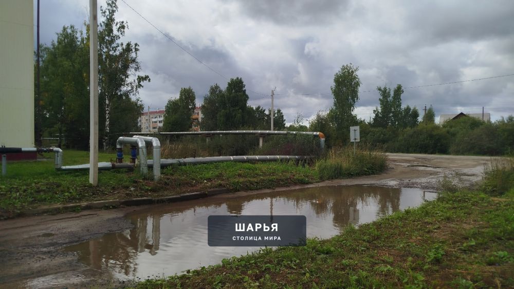 Когда строился 5 Квартал, наверняка в проектной документации должен был быть и асфальт, и… — Шарья
