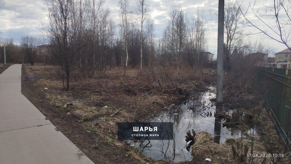 Раньше, когда здесь стояли старые гаражи, все люди "любовались" ими — Шарья — фото 9