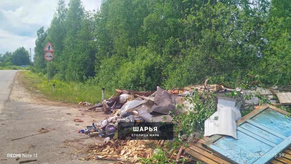Шарьинский и Поназыревский районы "утопают" в мусоре — Шарья — фото 4