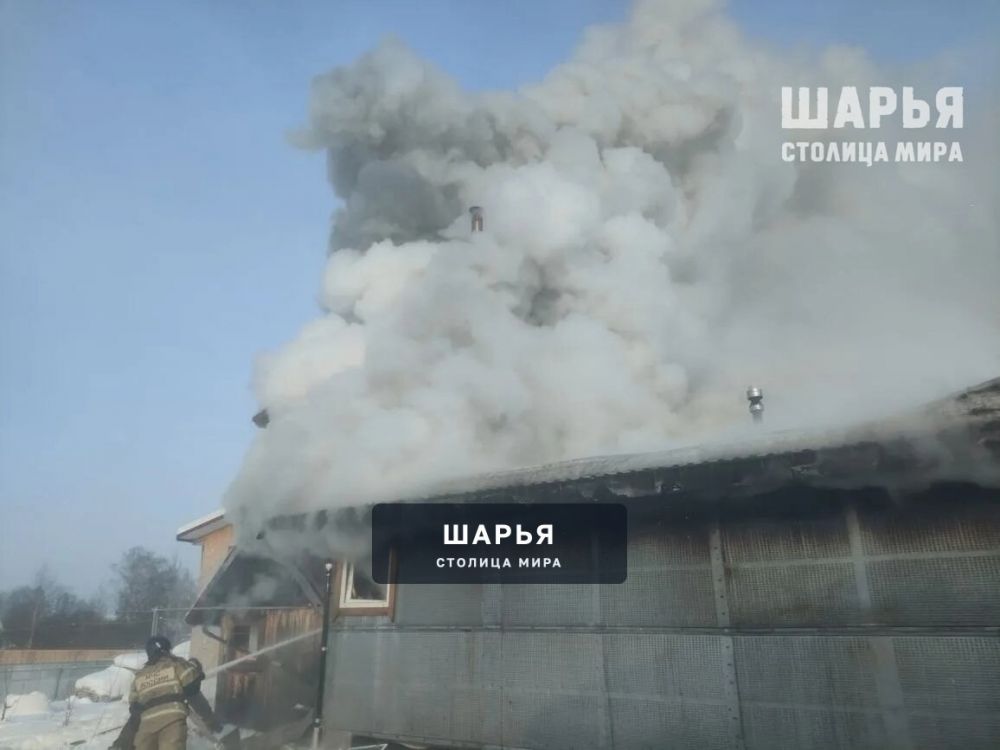 За минувшие сутки в области произошло 3 пожара, один из которых - в Шарье — Шарья — фото 5