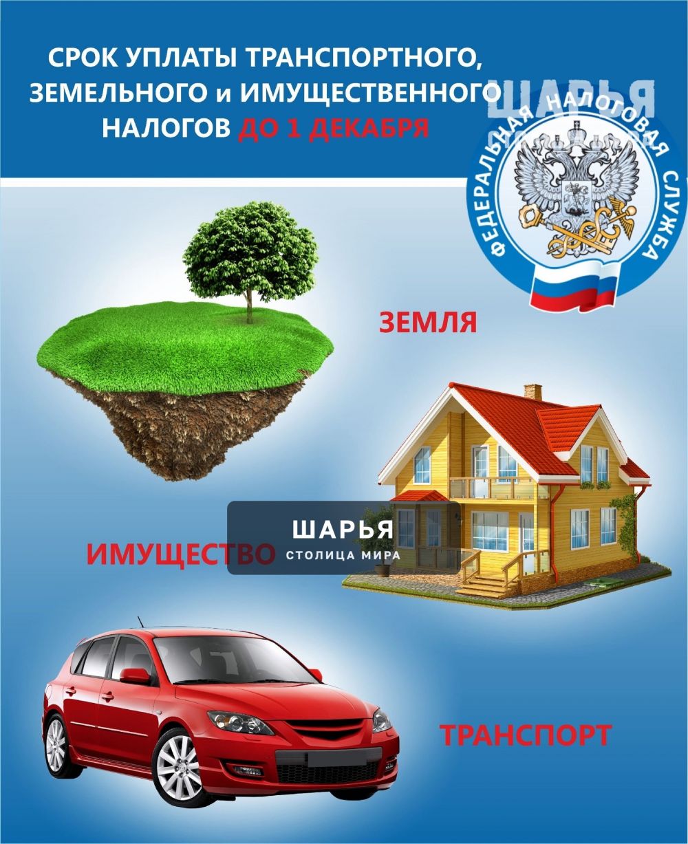 Успейте оплатить налоги - осталось чуть более месяца — Шарья