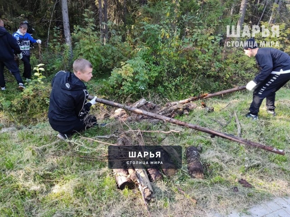 Субботник прошел в шарьинском Городском парке культуры и отдыха — Шарья — фото 8