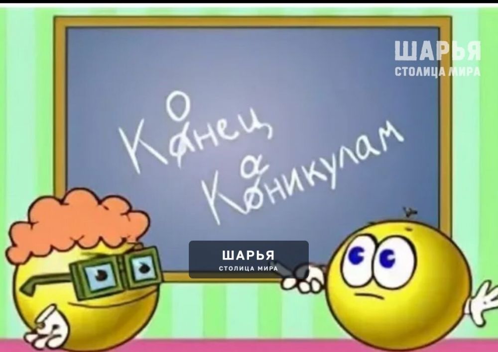 Осенние каникулы завершены, школьники возвращаются за парты — Шарья