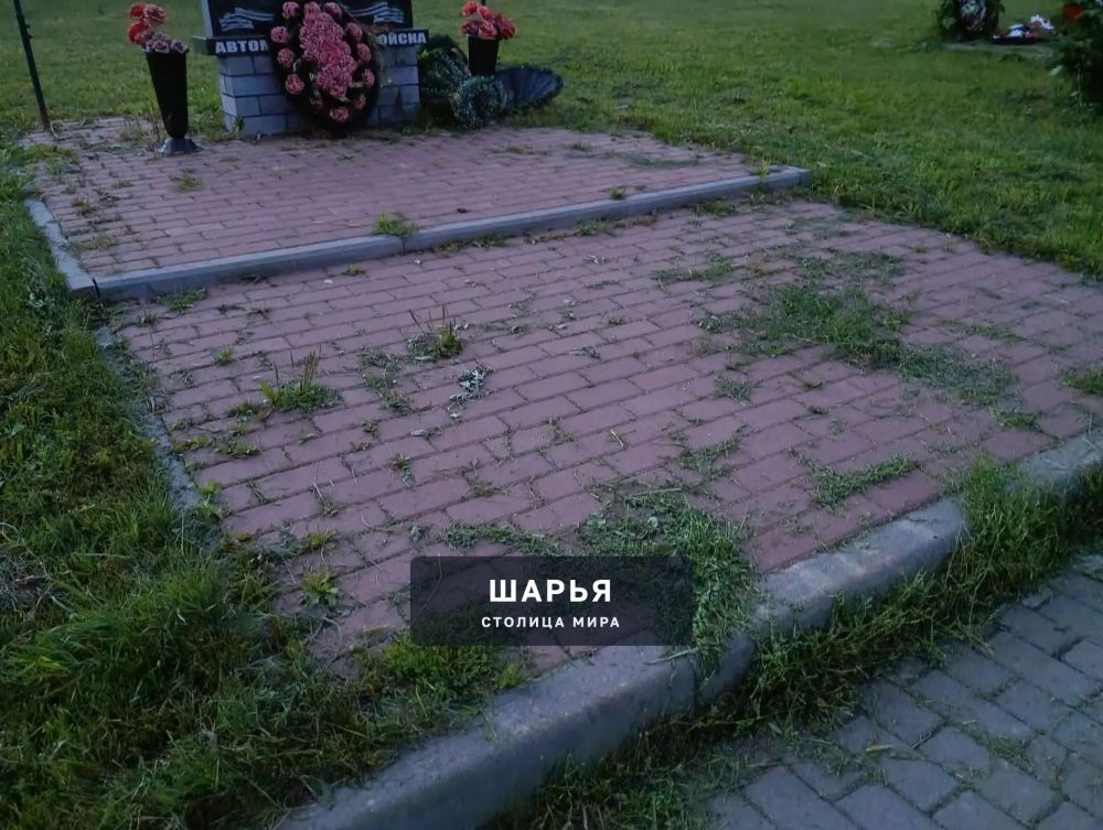У людей и властей мнения расходятся — Шарья — фото 7