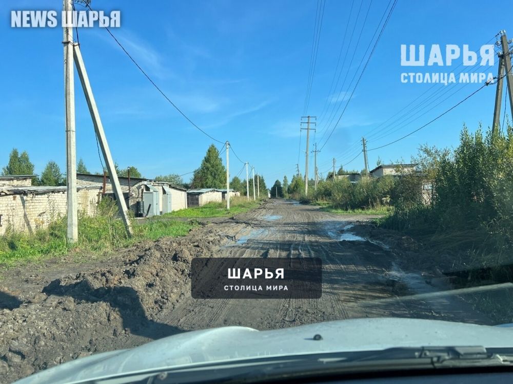 По колено в грязи стало нормой для Шарьи — Шарья — фото 7