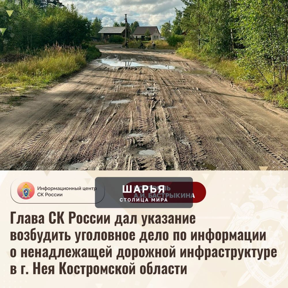 Глава СК России дал указание возбудить уголовное дело по информации о ненадлежащей дорожной… — Шарья