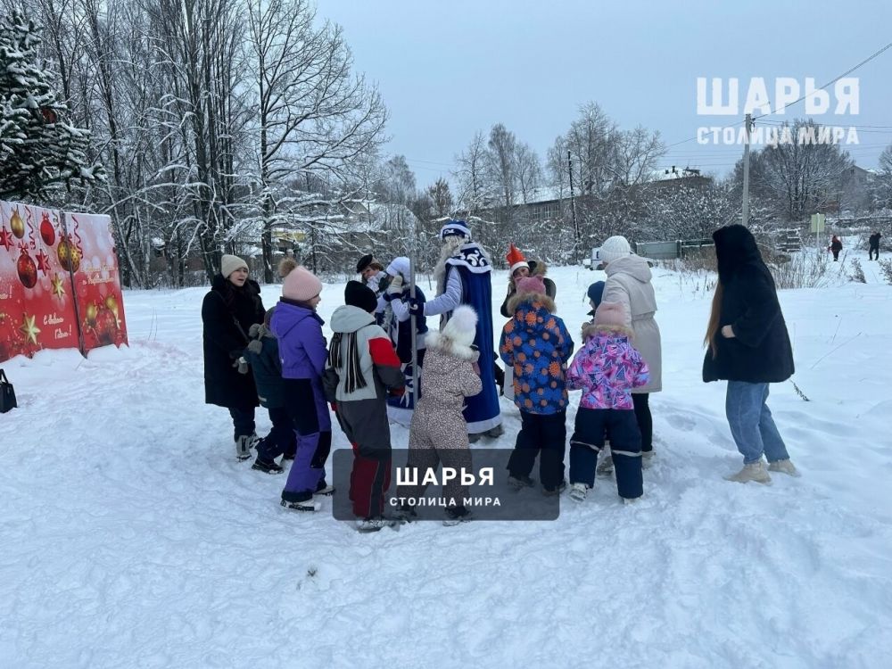 Новогодник елки не заканчиваются — Шарья — фото 4