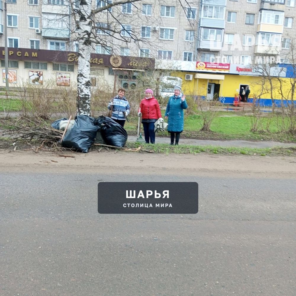 26 апреля коллектив МБУ ДО СШОР г. Шарья приняли участие во "Всероссийском субботнике 2025 " — фото 2