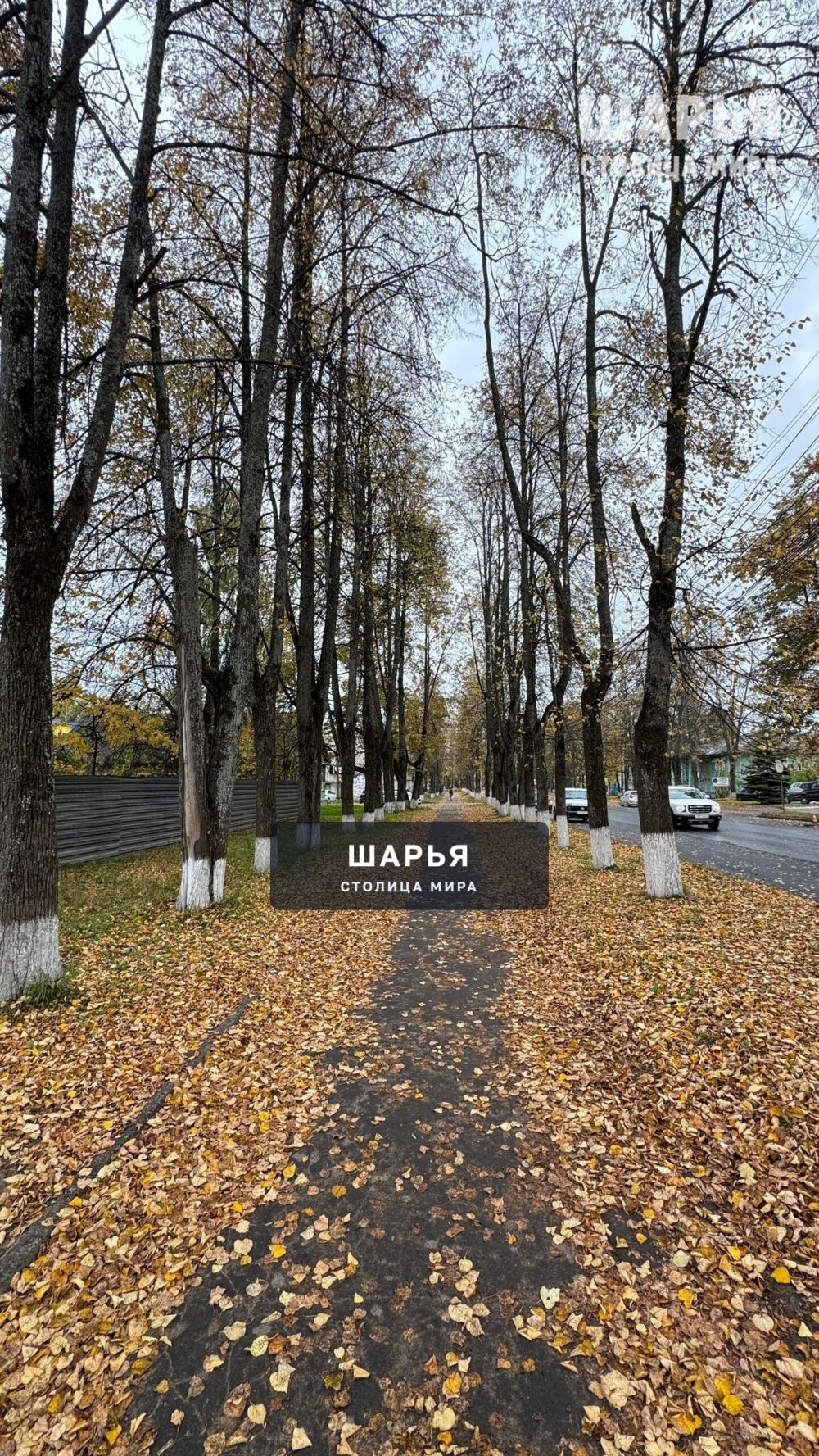 Осень — Шарья — фото 3