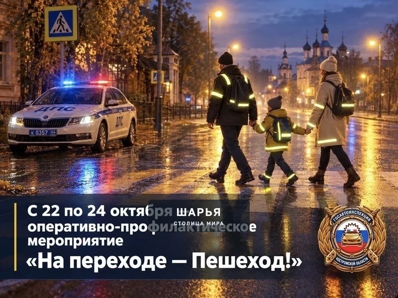 В регионе проходит оперативно-профилактическое мероприятие «На переходе — пешеход!» — Шарья