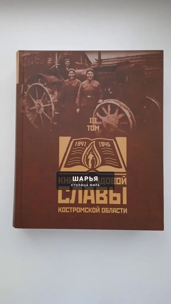 Презентация книги трудовой славы Костромской области — Шарья — фото 9