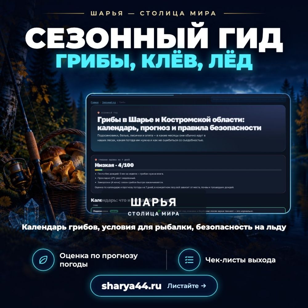 Что нового добавила команда TarasovWeb.ru на главный сайт Костромской области: sharya44.ru… — Шарья — фото 7