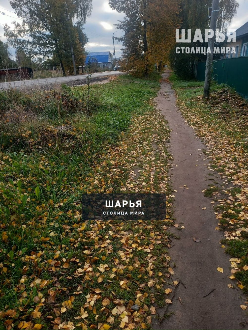 На тротуары асфальта не хватило? — Шарья — фото 3