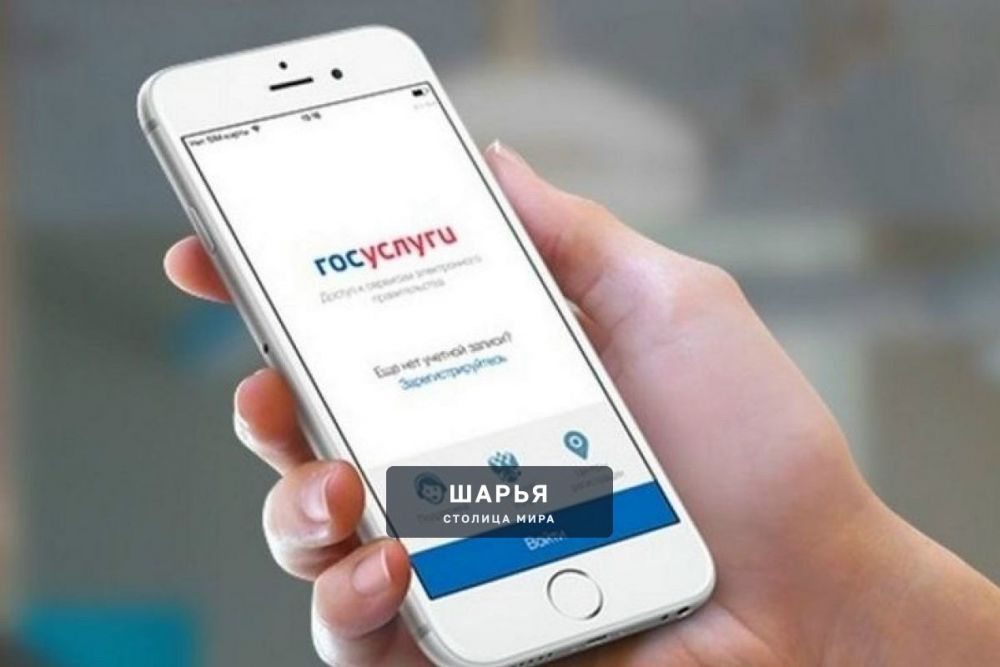 Уведомления банков о кредитах начнут приходить на «Госуслуги» — Шарья