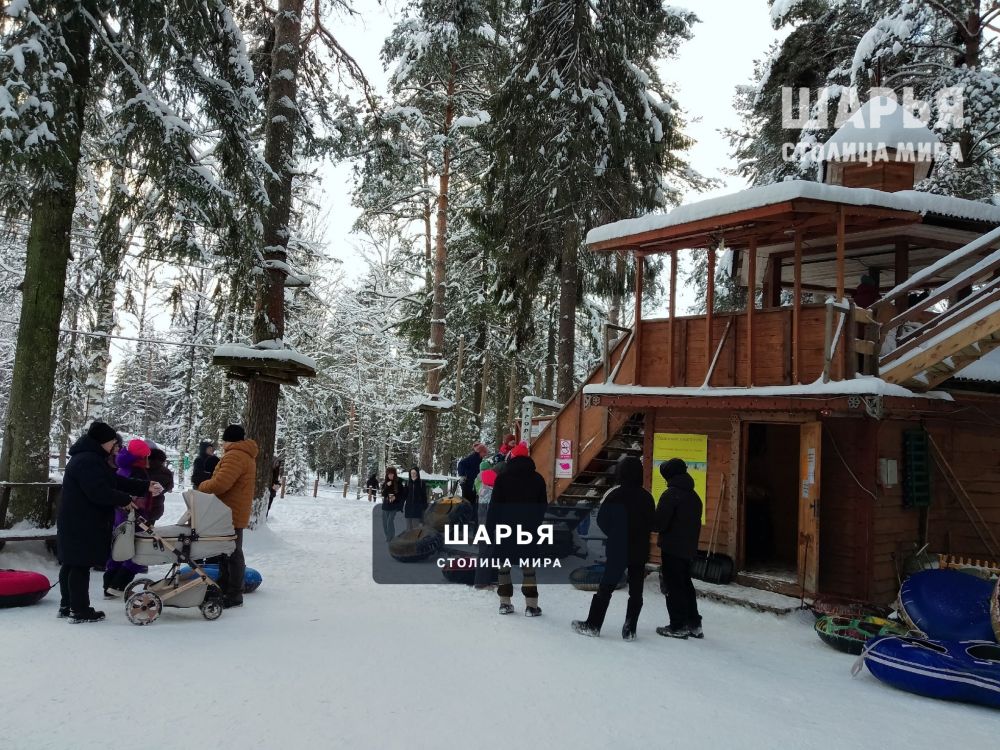 Зимняя сказка в Городском парке Шарьи завораживает — Шарья — фото 9